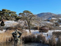 [ 먹거리추천 < 여행리포트 ]