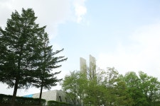 [ 먹거리추천 < 여행리포트 ]