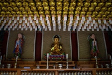 [ 먹거리추천 < 여행리포트 ]