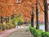 [ 시민리포터 기사 < 시민리포터 < 시민참여 ] 천안시청