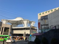 [ 먹거리추천 < 여행리포트 ]