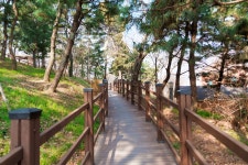 [ 먹거리추천 < 여행리포트 ]
