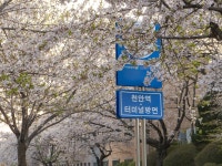 [ 먹거리추천 < 여행리포트 ]