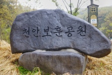 [ 먹거리추천 < 여행리포트 ]