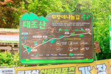 [ 시민리포터 기사 < 시민리포터 < 시민참여 ] 천안시청