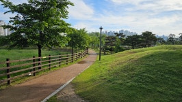 [ 시민리포터 기사 < 시민리포터 < 시민참여 ] 천안시청