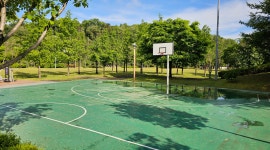 [ 시민리포터 기사 < 시민리포터 < 시민참여 ] 천안시청