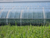 [ 시민리포터 기사 < 시민리포터 < 시민참여 ] 천안시청