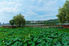 [ 관광체험기 < 여행리포트 ]