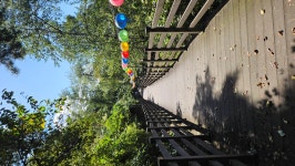 [ 시민리포터 기사 < 시민리포터 < 시민참여 ] 천안시청