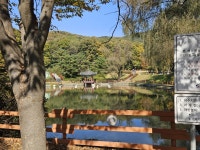 [ 관광체험기 < 여행리포트 ]