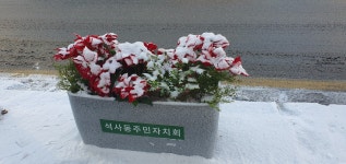 춘천시 석사동 새소식 > 포토갤러리