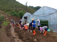 보도자료 생명과 태양의 땅 충북