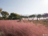 여행 - 충청남도 누리집(홈페이지) 충청남도 누리집(홈페이지)