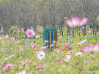 여행 - 충청남도 누리집(홈페이지) 충청남도 누리집(홈페이지)