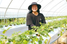 농업정책 - 충청남도 누리집(홈페이지) 충청남도 누리집(홈페이지)