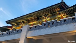 포토뉴스 - 충청남도 누리집(홈페이지) 충청남도 누리집(홈페이지)