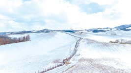 여행 - 충청남도 누리집(홈페이지) 충청남도 누리집(홈페이지)