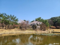 문화, 역사 - 충청남도 누리집(홈페이지) 충청남도 누리집(홈페이지)