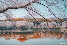 문화, 역사 - 충청남도 누리집(홈페이지) 충청남도 누리집(홈페이지)