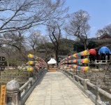 포토뉴스 - 충청남도 누리집(홈페이지) 충청남도 누리집(홈페이지)