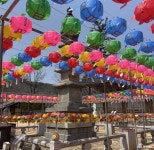 포토뉴스 - 충청남도 누리집(홈페이지) 충청남도 누리집(홈페이지)