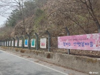포토뉴스 - 충청남도 누리집(홈페이지) 충청남도 누리집(홈페이지)