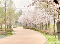 여행 - 충청남도 누리집(홈페이지) 충청남도 누리집(홈페이지)