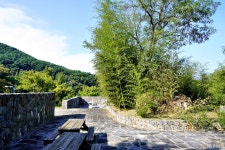 전체기사 - 충청남도 누리집(홈페이지) 충청남도 누리집(홈페이지)