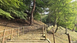 여행 - 충청남도 누리집(홈페이지) 충청남도 누리집(홈페이지)