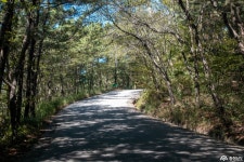 충청남도 누리집(홈페이지)
