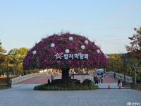 여행 - 충청남도 누리집(홈페이지) 충청남도 누리집(홈페이지)