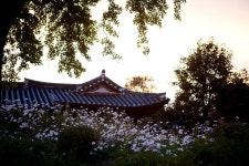 사는이야기 - 백일헌 이삼장군 종택에서 열린 고택음악회 - 충청남도 백일헌 이삼장군 종택에서 열린 고택음악회