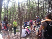 지역신문뉴스 - 기획…농촌자원 활용으로 피폐한 농촌을 살리자 ⑧ - 충청남도 기획…농촌자원 활용으로 피폐한 농촌을 살리자 ⑧