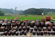 먹거리 - 충남로컬푸드 미더유 정갈한 솜씨에 놀란 나경버섯농가맛집 - 충청남도 충남로컬푸드 미더유 정갈한 솜씨에 놀란 나경버섯농가맛집