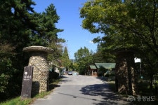 사는이야기 - 희리산해송 자연휴양림에서 산림욕하세요 - 충청남도 희리산해송 자연휴양림에서 산림욕하세요