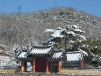 사는이야기 - 성삼문 선생을 기리며, 내 소원도 이루어져요! - 충청남도 성삼문 선생을 기리며, 내 소원도 이루어져요!
