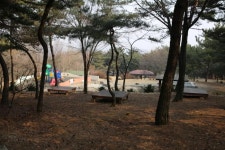 사는이야기 - 태학산과 태학산 자연휴양림의 즐거움 - 충청남도 태학산과 태학산 자연휴양림의 즐거움