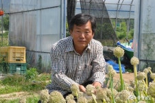 지역신문뉴스 - “아파트 옥상과 베란다를 녹색 텃밭으로” - 충청남도 “아파트 옥상과 베란다를 녹색 텃밭으로”