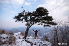 사는이야기 - 눈오던날 천안 광덕산 풍경 - 충남.넷 눈오던날 천안 광덕산 풍경