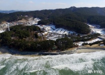 시군뉴스 - 하늘에서 내려다 본 겨울 천리포수목원 - 충남넷 미디어 하늘에서 내려다 본 겨울 천리포수목원