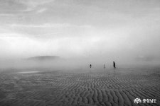 전체기사 - 꽃에 취해 들른 아산 지산공원 정말 반했어요 - 충남넷 미디어 꽃에 취해 들른 아산 지산공원 정말 반했어요