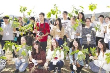여행 - 고려인삼 미래 밝히는 축제의 막 오른다 - 충남.넷 고려인삼 미래 밝히는 축제의 막 오른다