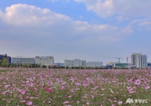 주요기사 - 충남.민관협치 주요기사 - 충청남도