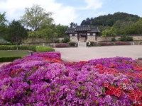 충남넷 모바일 모란이 피어나는 추사고택