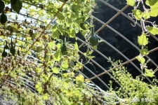 충남넷 모바일 광덕산에서 즐기는 색다른 가을여행