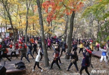 여행 - 보령의 가을 만끽하는 관광객들 - 충남.넷 보령의 가을 만끽하는 관광객들