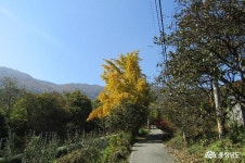 충남넷 모바일 대흥 슬로시티 느린 꼬부랑길 1코스 탐조여행