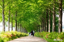 문화 - 무령왕릉 이후 최대 백제고분 유적 발굴 - 충남.넷 무령왕릉 이후 최대 백제고분 유적 발굴