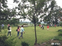 충남넷 모바일 고남면 누동2리 주민들 쌈지촌에 견학 오다